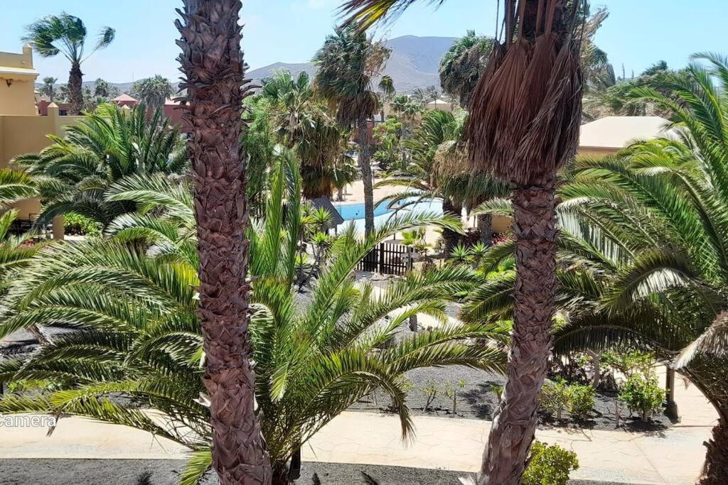 Apartment Cumbre Vieja Fuerteventura 科拉雷侯 外观 照片