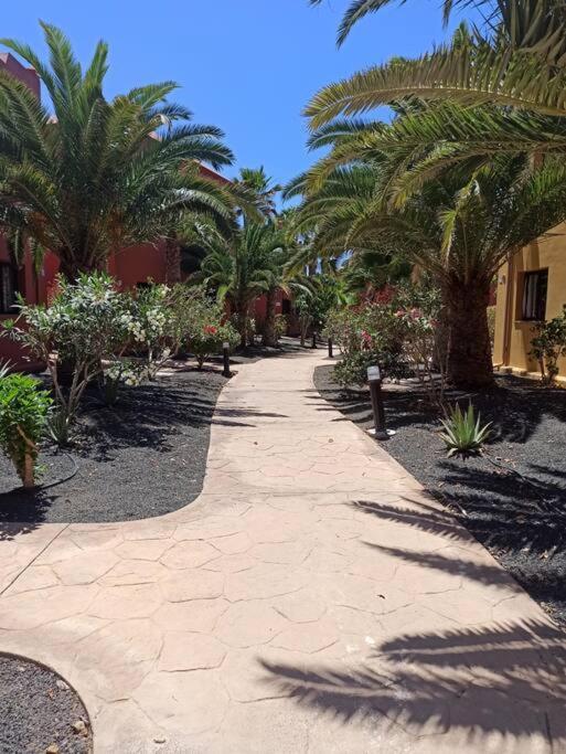 Apartment Cumbre Vieja Fuerteventura 科拉雷侯 外观 照片