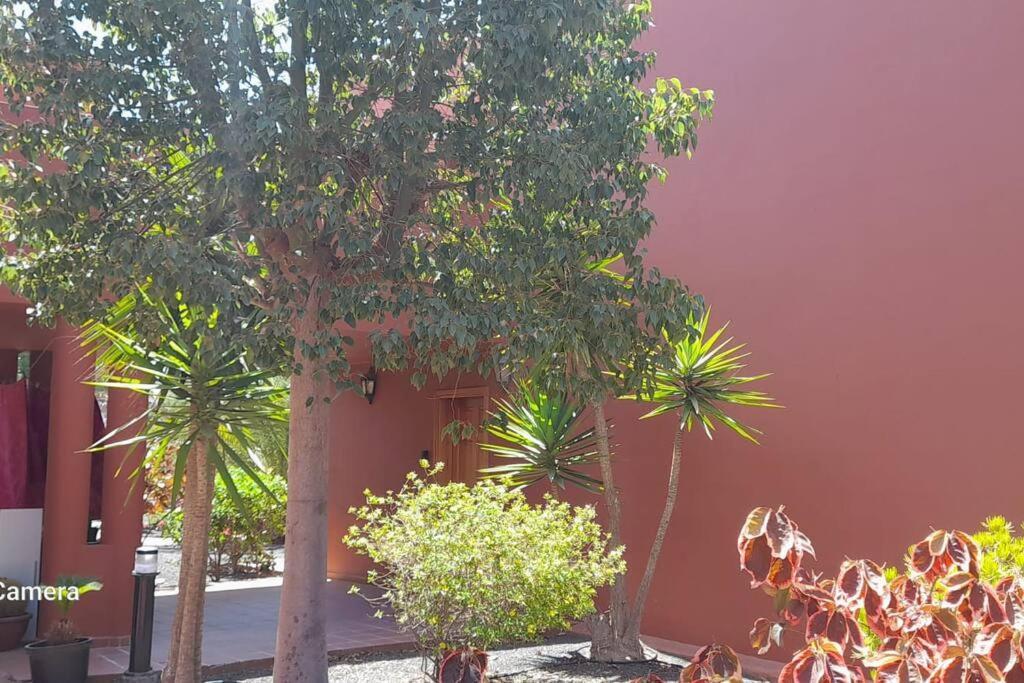Apartment Cumbre Vieja Fuerteventura 科拉雷侯 外观 照片