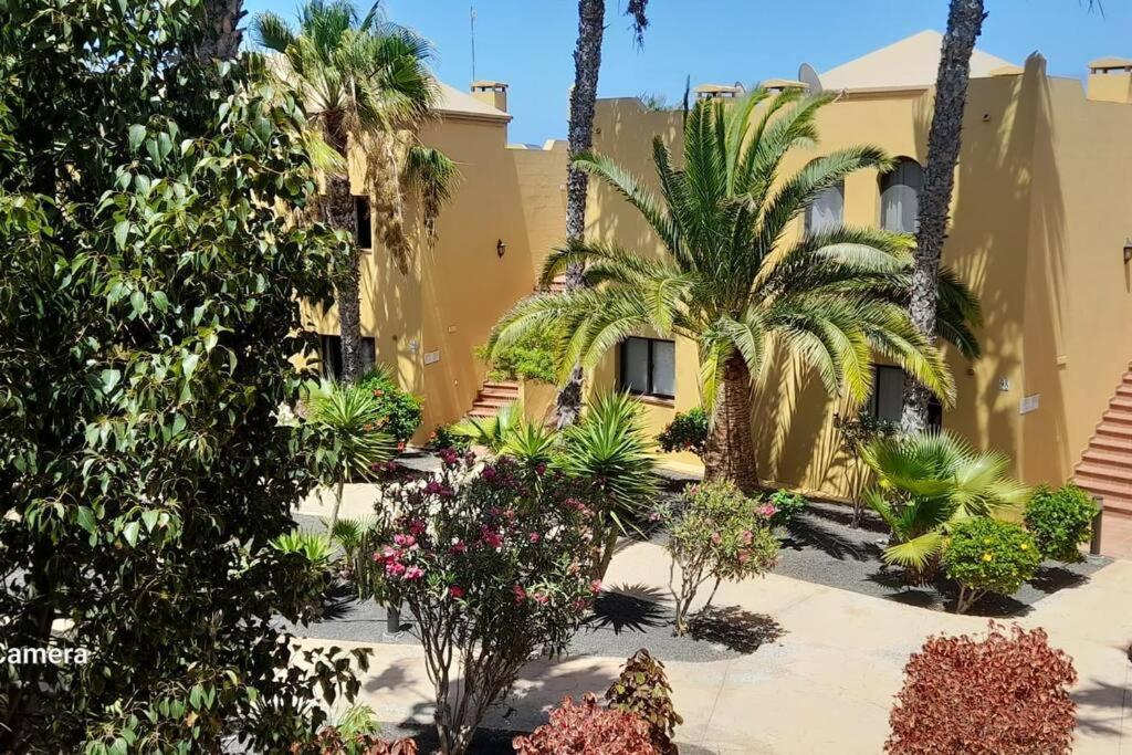 Apartment Cumbre Vieja Fuerteventura 科拉雷侯 外观 照片